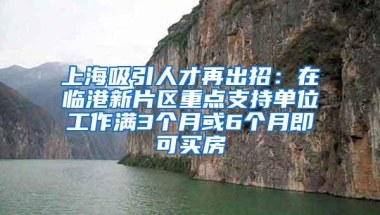 上海吸引人才再出招：在临港新片区重点支持单位工作满3个月或6个月即可买房