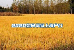 2020如何拿到上海户口