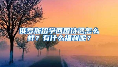 俄罗斯留学回国待遇怎么样？有什么福利呢？