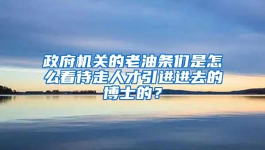 政府机关的老油条们是怎么看待走人才引进进去的博士的？