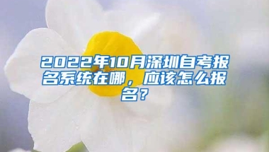 2022年10月深圳自考报名系统在哪，应该怎么报名？