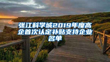 张江科学城2019年度高企首次认定补贴支持企业名单