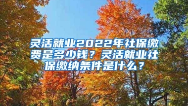 灵活就业2022年社保缴费是多少钱？灵活就业社保缴纳条件是什么？