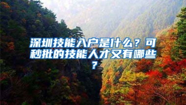 深圳技能入户是什么？可秒批的技能人才又有哪些？