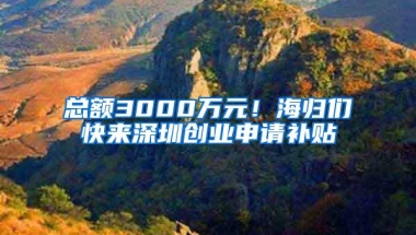 总额3000万元！海归们快来深圳创业申请补贴