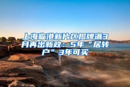 上海临港新片区揭牌满3月再出新政：5年“居转户”3年可买