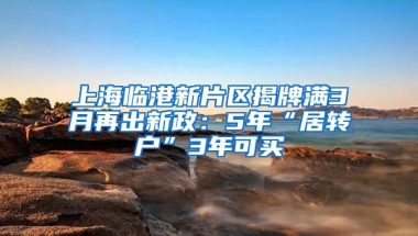 上海临港新片区揭牌满3月再出新政：5年“居转户”3年可买