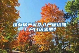 没有房产可以入户深圳吗？户口落哪里？