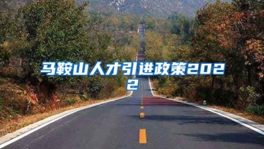 马鞍山人才引进政策2022