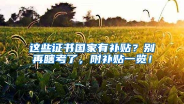 这些证书国家有补贴？别再瞎考了，附补贴一览！