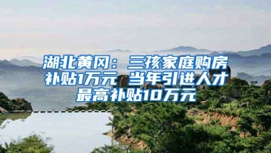 湖北黄冈：三孩家庭购房补贴1万元 当年引进人才最高补贴10万元