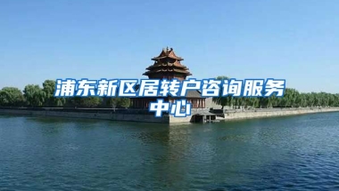 浦东新区居转户咨询服务中心