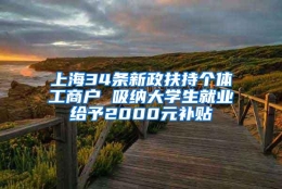 上海34条新政扶持个体工商户 吸纳大学生就业给予2000元补贴