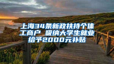 上海34条新政扶持个体工商户 吸纳大学生就业给予2000元补贴