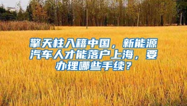 擎天柱入籍中国，新能源汽车人才能落户上海，要办理哪些手续？