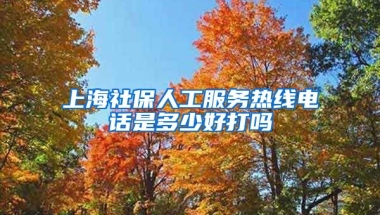 上海社保人工服务热线电话是多少好打吗