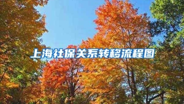 上海社保关系转移流程图