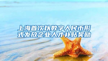 上海首次以数字人民币形式发放企业人才补贴奖励