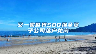 又一家世界500强全资子公司落户龙岗