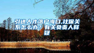 引进人才落户海口,社保关系怎么办？有关负责人释疑