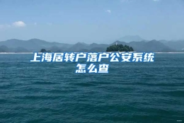 上海居转户落户公安系统怎么查