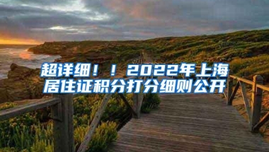 超详细！！2022年上海居住证积分打分细则公开