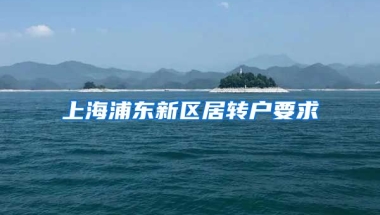 上海浦东新区居转户要求