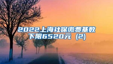 2022上海社保缴费基数下限6520元 (2)