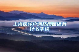 上海居转户调档后面还有什么手续