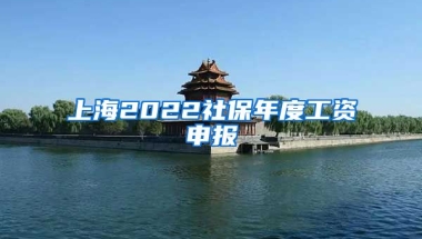 上海2022社保年度工资申报