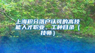 上海积分落户认可的高技能人才职业、工种目录（技师）