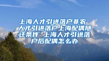 上海人才引进落户非农 人才引进落户上海配偶随迁条件 上海人才引进落户后配偶怎么办