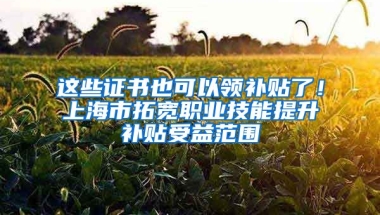 这些证书也可以领补贴了！上海市拓宽职业技能提升补贴受益范围