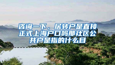 咨询一下，居转户是直接正式上海户口吗那社区公共户是指的什么目