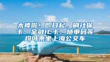 太棒啦！即日起，刷社保卡、金融IC卡、随申码等均可乘坐上海公交车