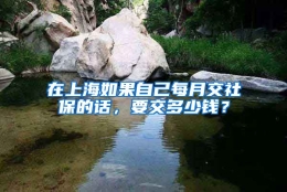 在上海如果自己每月交社保的话，要交多少钱？