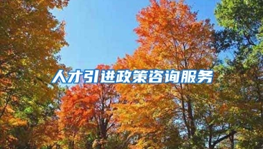 人才引进政策咨询服务