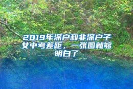 2019年深户和非深户子女中考差距，一张图就够明白了