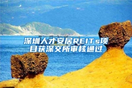 深圳人才安居REITs项目获深交所审核通过