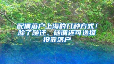 配偶落户上海的几种方式！除了随迁、随调还可选择投靠落户