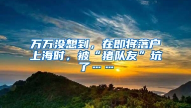 万万没想到，在即将落户上海时，被“猪队友”坑了……