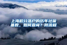 上海积分落户的历年社保基数，如何查询？附流程