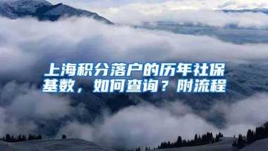 上海积分落户的历年社保基数，如何查询？附流程