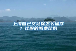 上海自己交社保怎么操作？社保的缴费比例