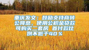 重庆发文：鼓励支持商转公降息，使用公积金贷款可购买二套房 首付款比例不低于40％