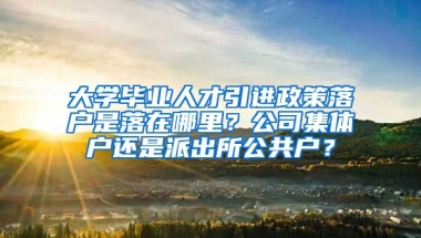 大学毕业人才引进政策落户是落在哪里？公司集体户还是派出所公共户？