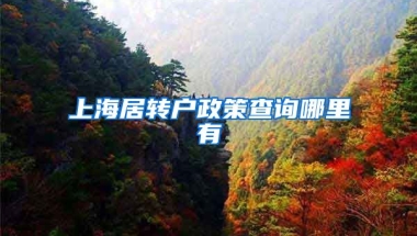 上海居转户政策查询哪里有