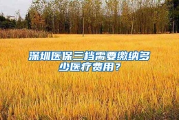 深圳医保三档需要缴纳多少医疗费用？