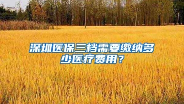 深圳医保三档需要缴纳多少医疗费用？