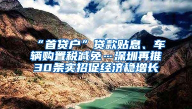 “首贷户”贷款贴息、车辆购置税减免…深圳再推30条实招促经济稳增长